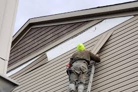 Best Custom Trim and Detailing for Siding  in Caribou, ME